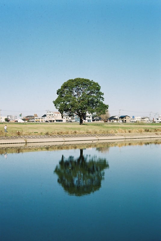 福岡県直方市の友人に会いに行ったときの帰り。ホテルの迎えを断って歩いて直方駅に。
静かに立つ一本の木と、川のリフレクションが印象的。でしょ！