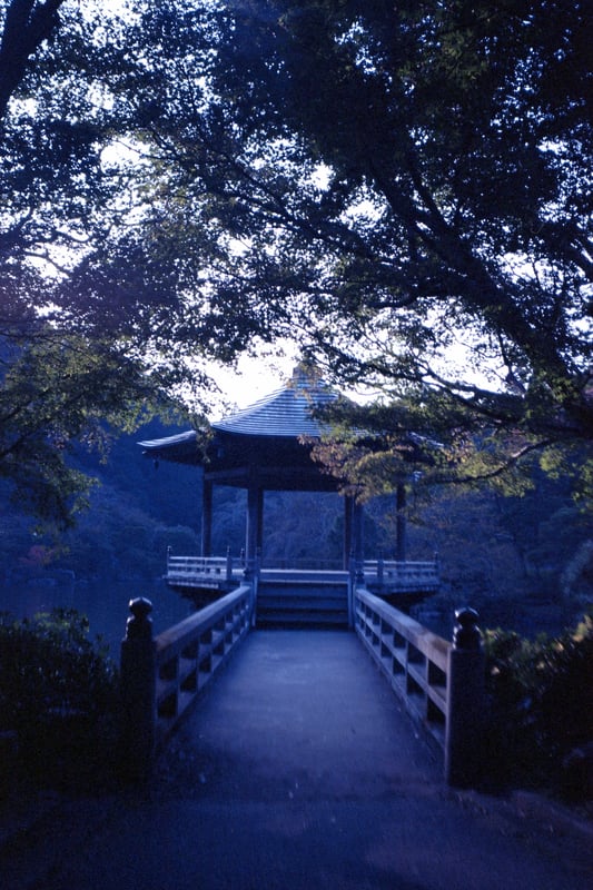 成田山の池にあるあれです。
実際の光景は、やや薄く雲のかかった夕方だったんですが、
このKiev35Aのレンズを通すとあら不思議な光の感じに変わってしまいます。
これを思い通りに引き出せればすごいカメラなんですが、
どんなタイミングでどんなふうに写ってくるかは、
できあがるまでわかりません。
たまに、シャッターが開いてないなんてこともあります。
困ったカメラですが、かわいいカメラです。