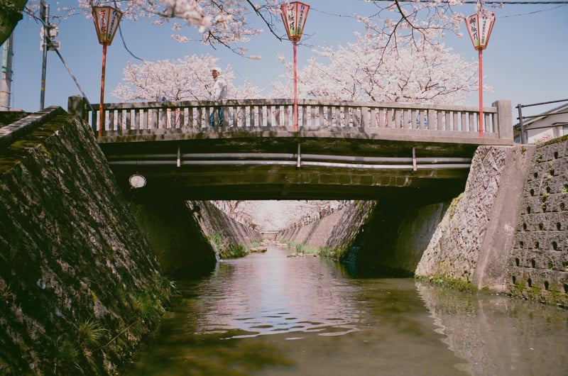 10年ぶりにフィルムカメラを使った写真