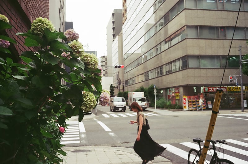 都会に紫陽花と女性 思わずシャッターを切った...📸