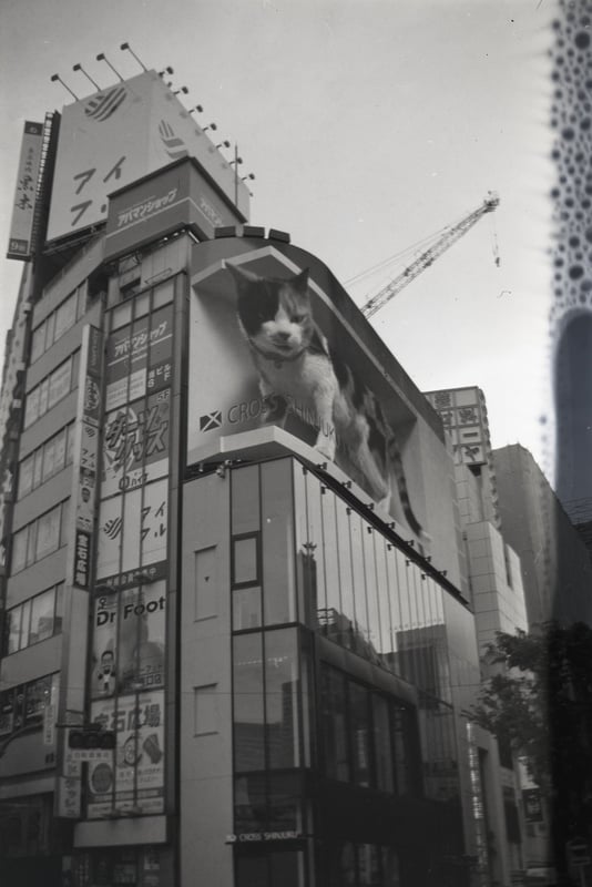 Film Lomography B/W 100