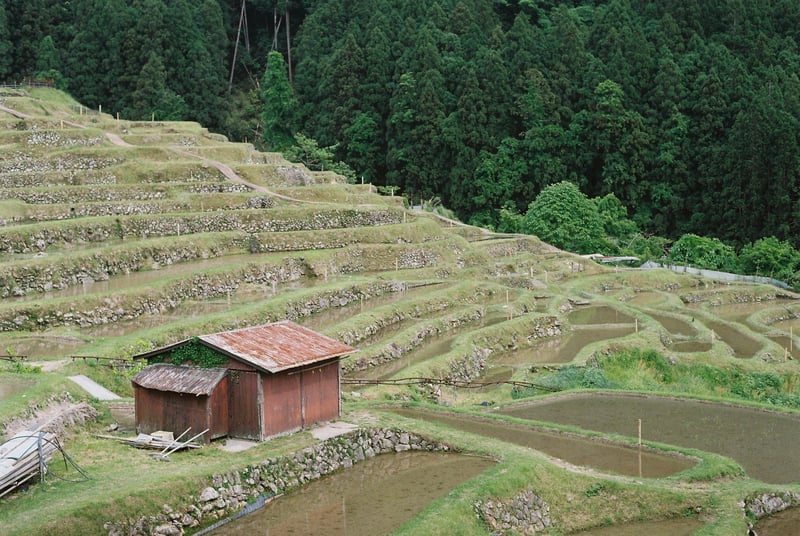 三重県の丸山千枚田
自分にとってすごく懐かしい場所