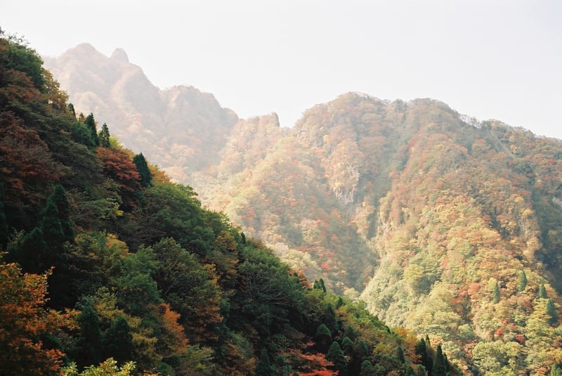 久しぶりの投稿
紅葉がきれいだった秋の根子岳登山