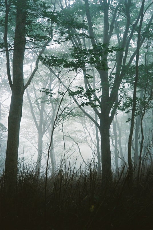 幻想的な風景、と思ってたら、このあと雷雨で酷い目にあった日。
祖母傾山系。