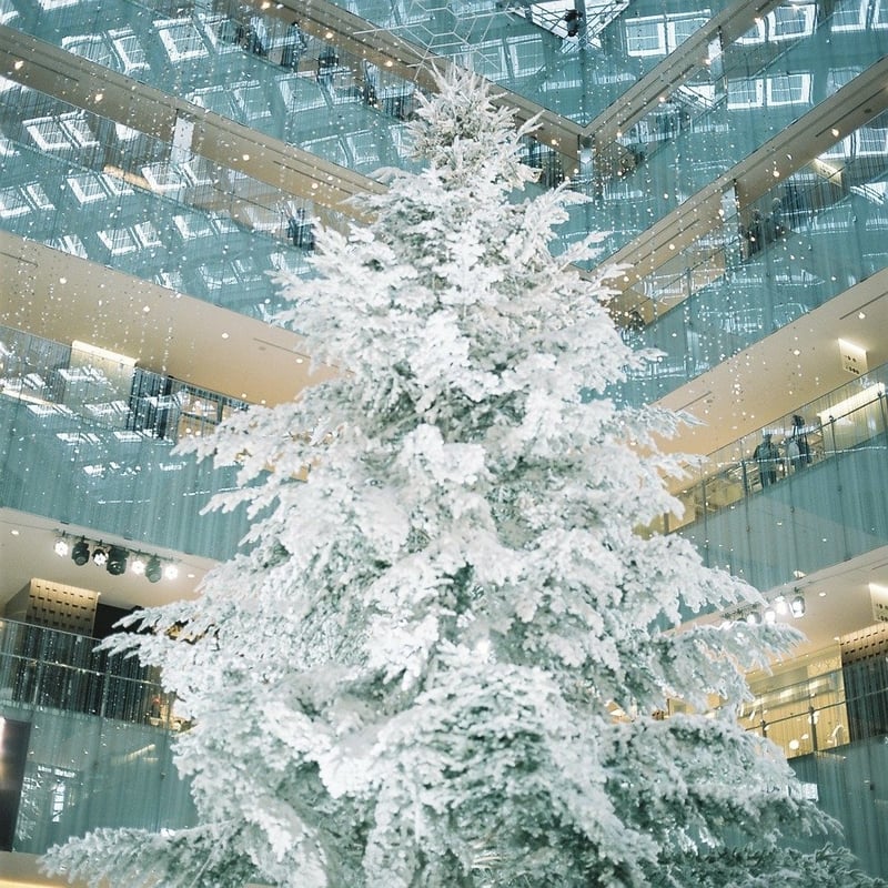 Hasselblad 500C/M ＊ FUJI PRO400H
Carl Zeiss Planar T* C 80mm F2.8

毎年クリスマスツリーが展示されるけど
この年のクリスマスツリーがいちばん好き♡