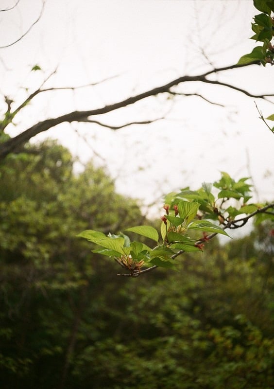 権現山にて。
f2.8半  1/250  ISO100