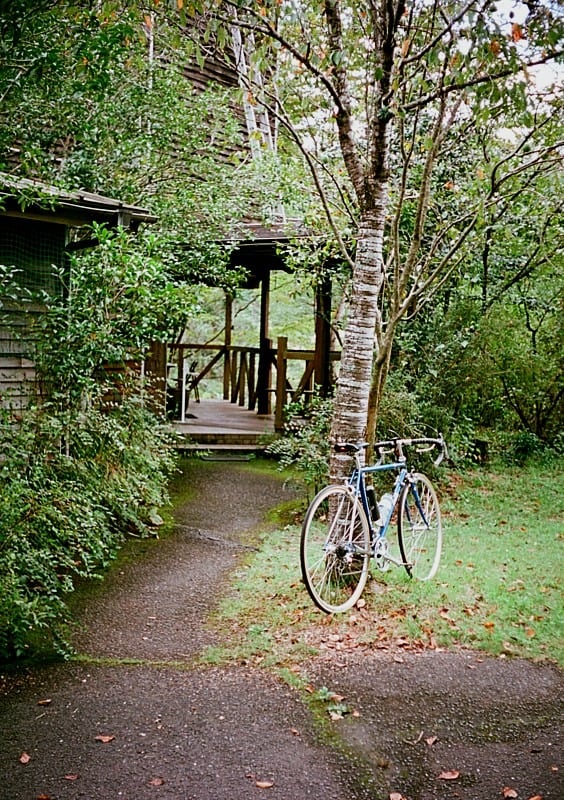 自転車で行きます。