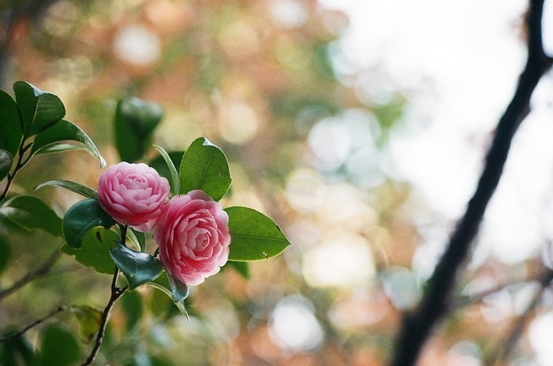 権現山にて。
f2.8  1/125  ISO100