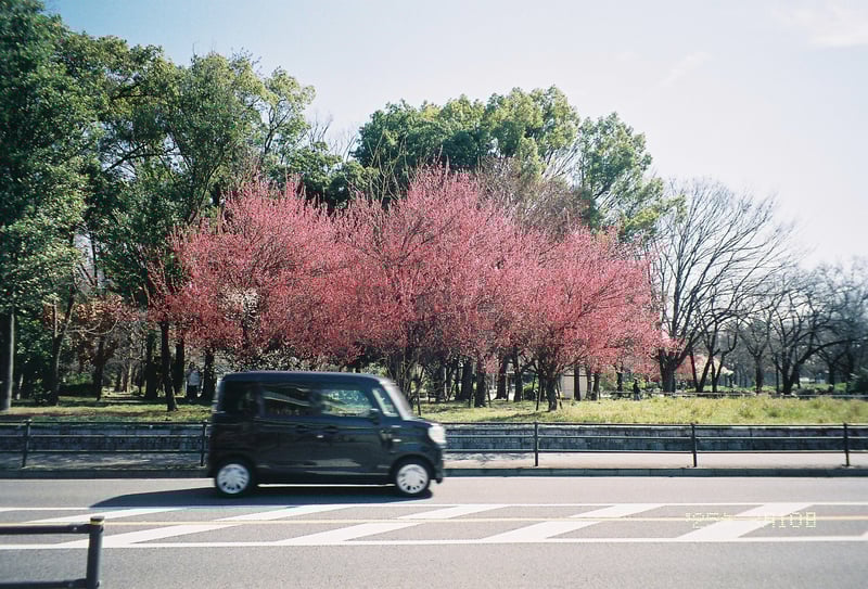 いつもの景色が徐々に色づいてきて
この日はまだまだ寒かったけど
春の訪れにわくわくしました
