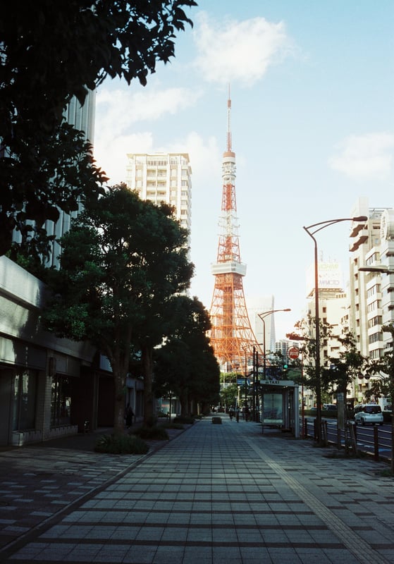 東京タワーってデカいから、近く見えても実際は結構歩かないと着かないですよね。

手前と奥で明るさの差がつきすぎちゃった写真ですが、「距離感を表現しました」ということにさせてください😅