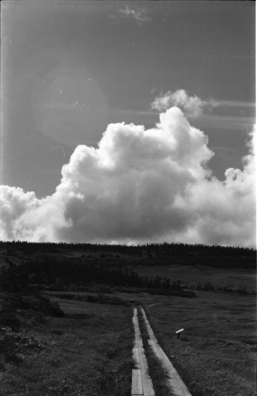 KMZ Zenit-3M 50 Years
Industar-50
Ilford DELTA 100