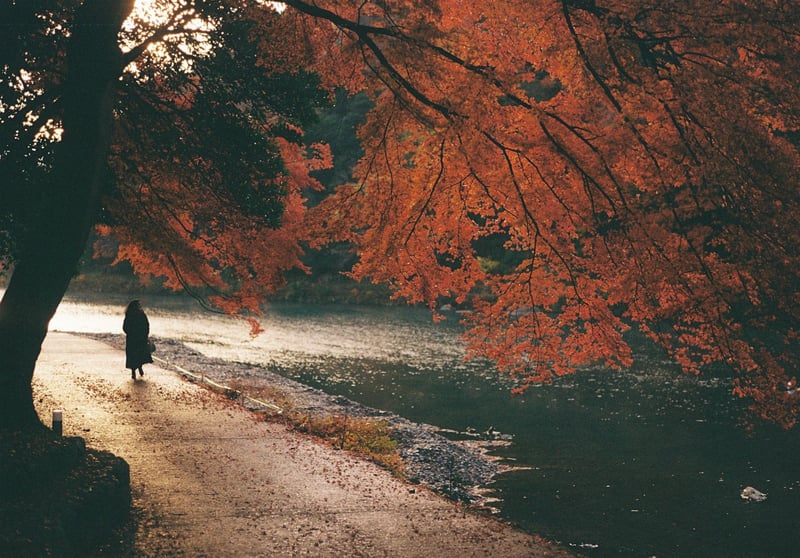 晩秋の京都嵐山
