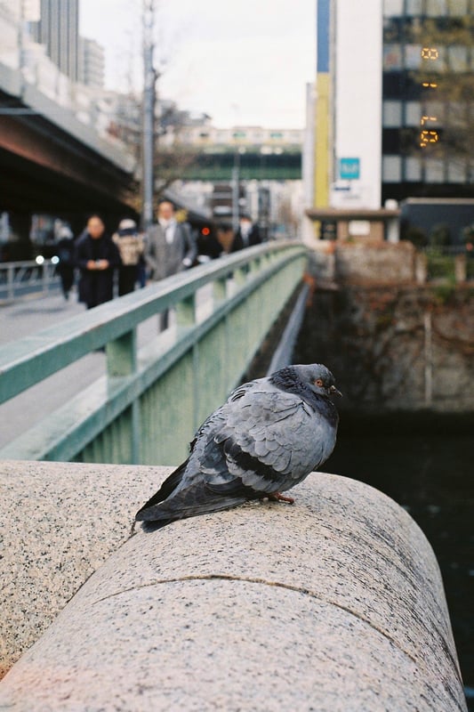 shot : 25.1.8

【Exif】 
ISO : 400
SS : 1/250
IRIS : f/8.0