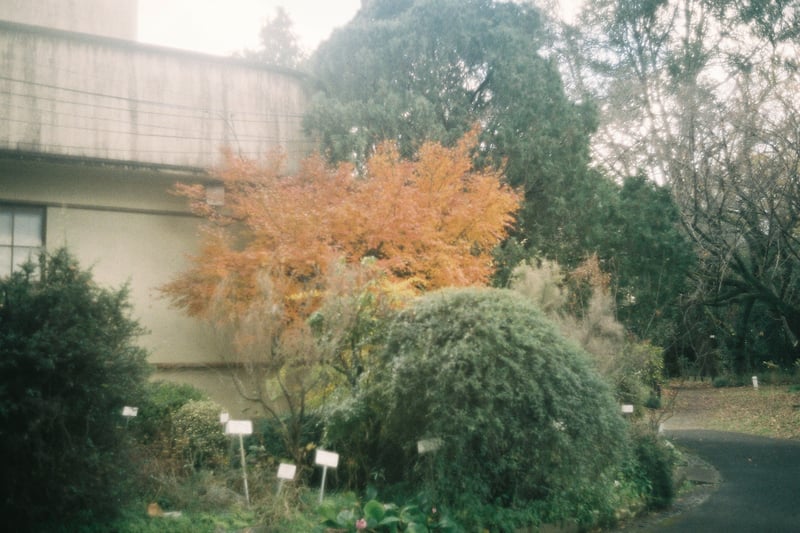 📍小石川植物園

shot : 22.12.18