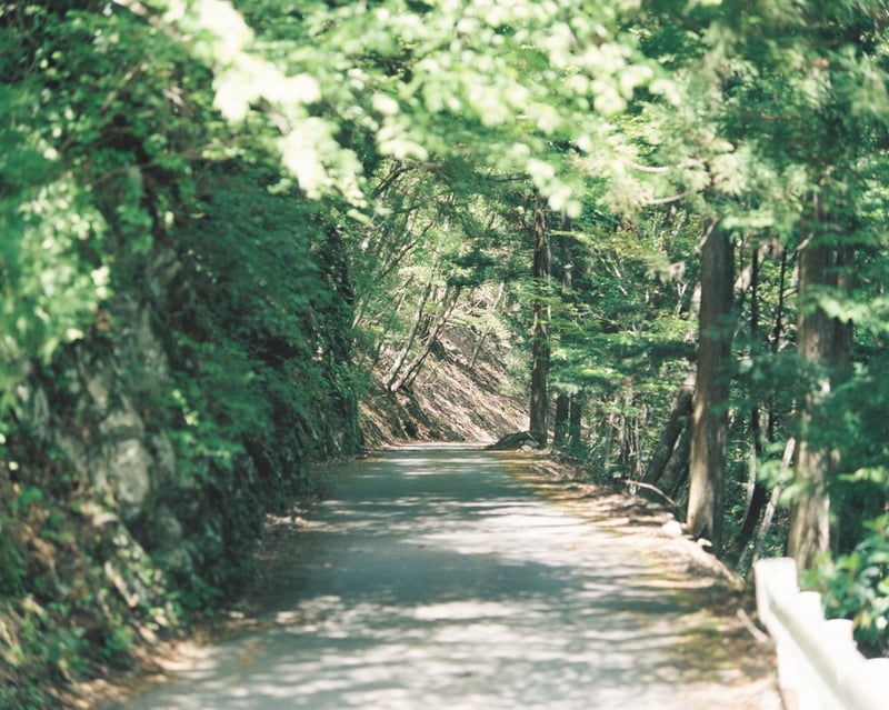 釈迦ヶ岳1,799mの下山後に車を止めて撮影した一コマ。
朝5時台からの登山後は丁度良い日差しが差し込んできます✨