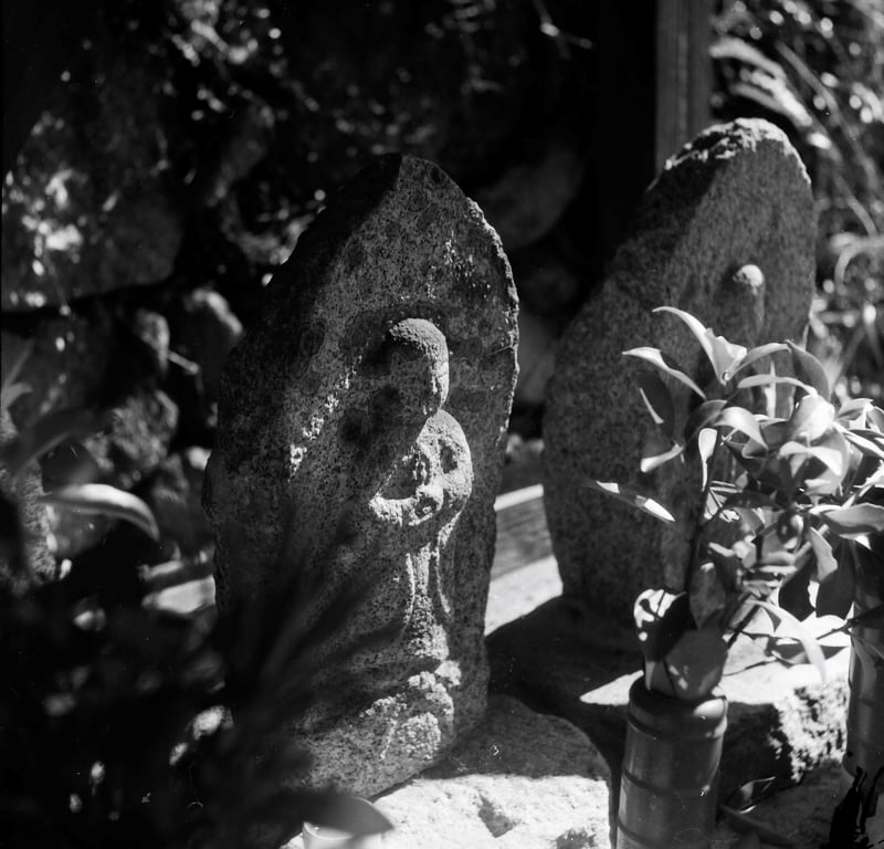 絞りf5.6-8 1/50sec.