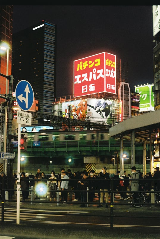 25年2月28日撮影