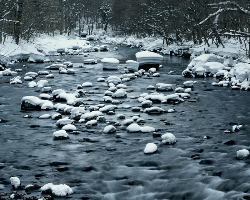雪に埋もれたモノクロームの静かな森。
川のささらぐ音だけがわずかに聞こえてきます。
春の訪れはまだ先のようです。
青森県の奥入瀬渓流にて。