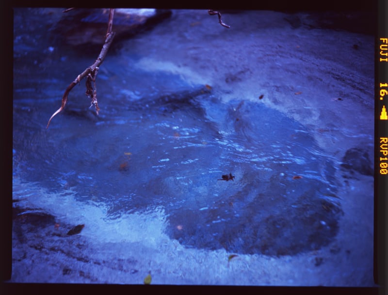 こういう色の水を追いかけて色んな川に行ってます