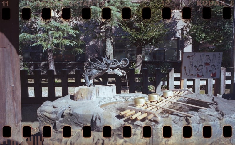 ほかの方の投稿をみて、確かに！撮る撮る！！
SWCでのパノラマ写真での１枚