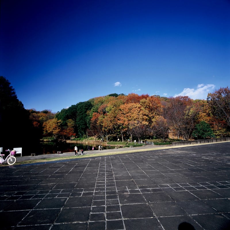 水平器で地球への水平は取った・・・はず