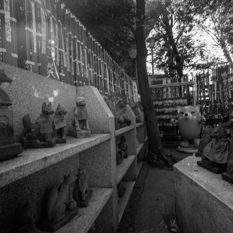 豊川稲荷東京別院にて、
ISO50のフィルムで、日陰チャレンジ

目測テキトー撮影がメインなSWCで絞れない＝ピントが合わない
で、どこまで撮れるか・・・意外に撮れた・・・かな？
