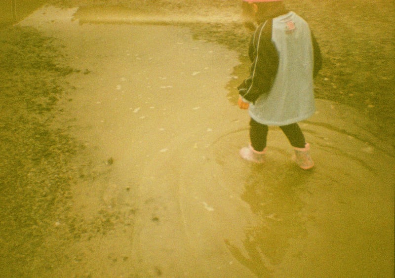 🎞️期限不明の期限切れフィルム