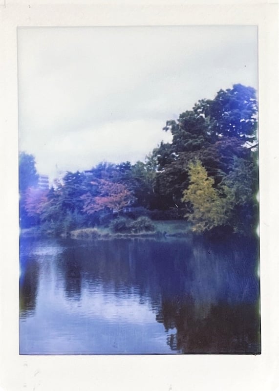 1935年製造の乾板カメラにinstaxminiを詰めて撮影した写真です。instaxのラチチュードの狭さにはもう少し気をつけた方が良いなと勉強になりました。