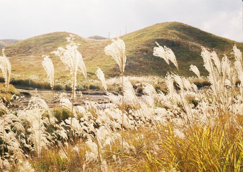 秋って地元に帰りたくなる🍂