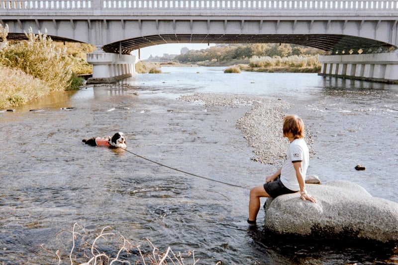 鴨川デルタの冷やし犬

Instagram→@put_your_moment_still
.
📸Nikon FE
🎞️LomoChrome Color ´92
.
.
