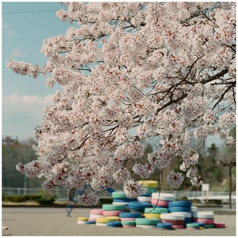 2014年