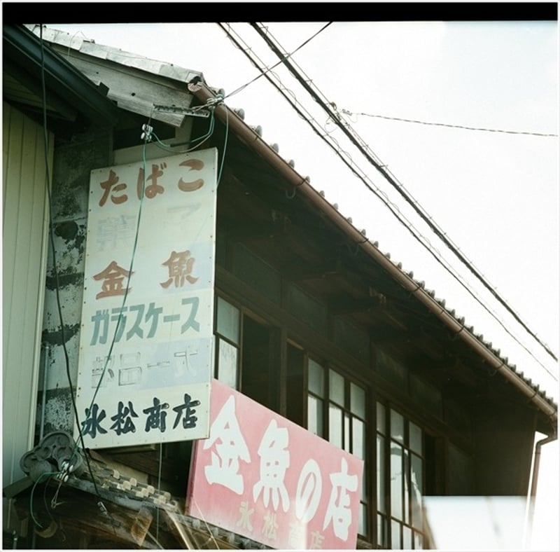 2019年