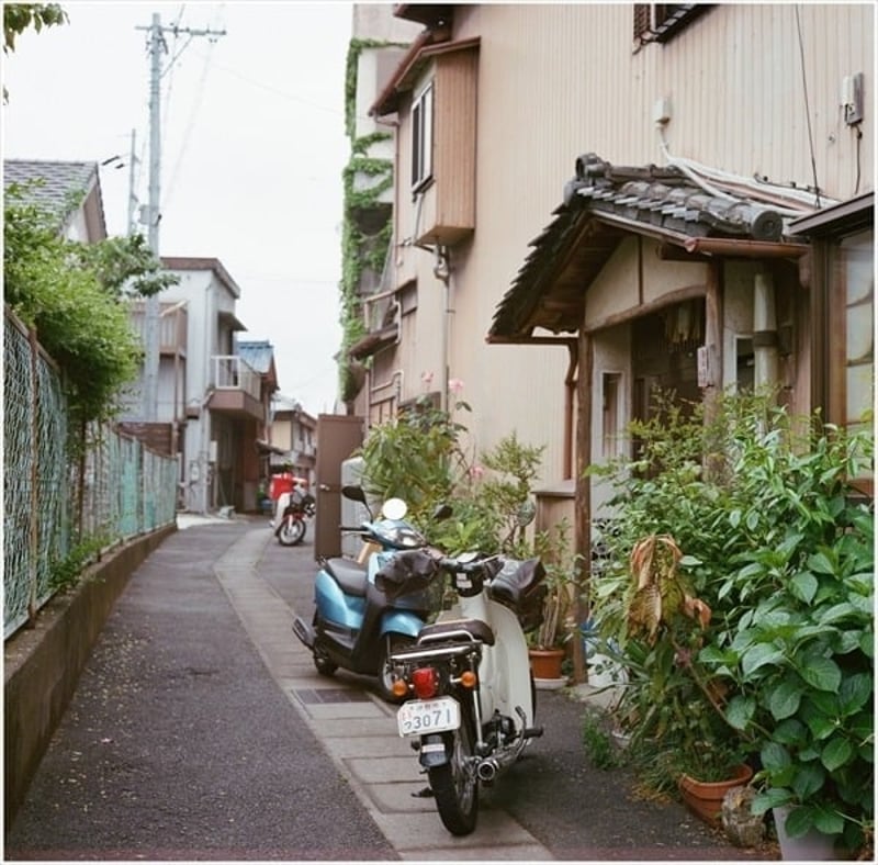 2017年