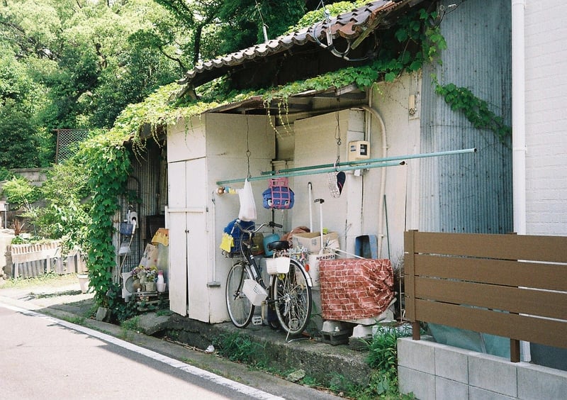 2025年