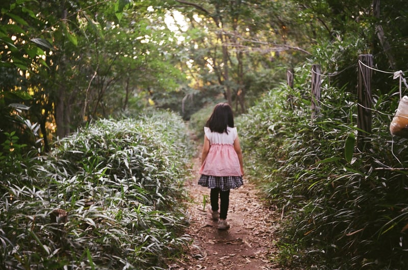 公園の中の散策コースです🌳季節により様々な表情を見せてくれます