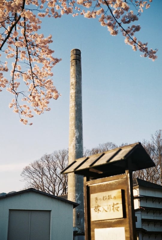 春の写真ですが、桜と工場にある煙突とのコラボレーションをどうしても写真に納めたかった…去年も（たぶん）この景色はあったのだろうけれど、フィルムカメラをやっていなかったらその気にはならなかったと思う。