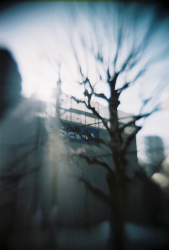 ボケてるのがなんか良い