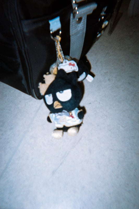 ピンぼけでよく分からない