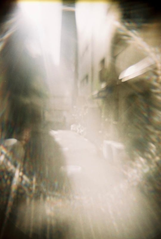 西陽に照らされて