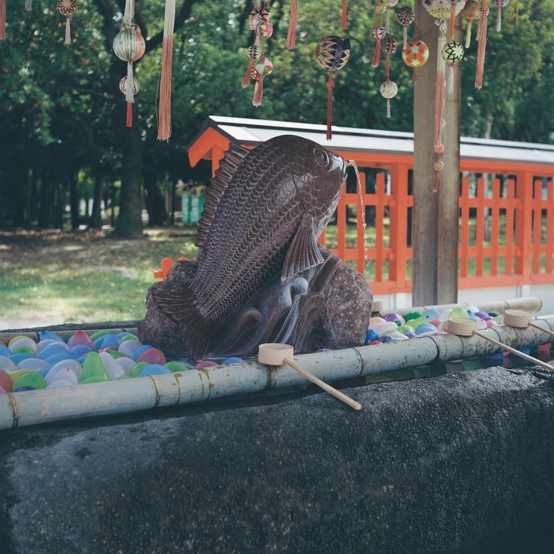 十日恵比須神社にて期間限定で行われた水風船の手水舎。夏らしくていい！
露出失敗して暗くなってしまった…
