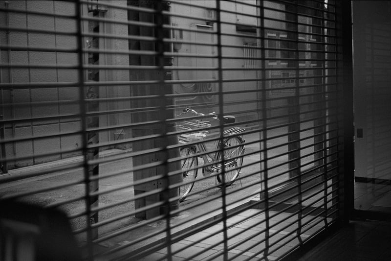 1+30 20C 11:00 30/60/1
EI100
spur silversalt developer
