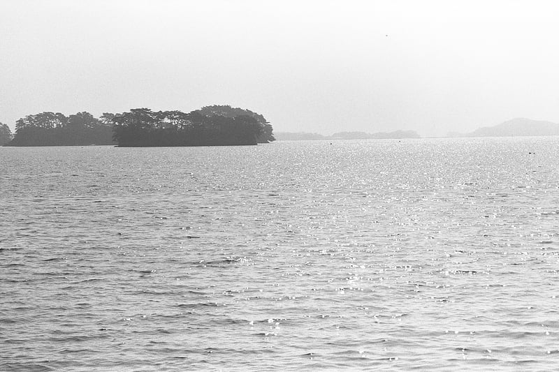 1+20 20C 13:00 30/60/1
EI400
spur silversalt developer