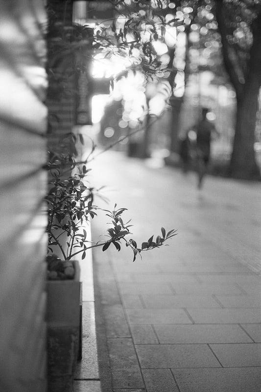 1+30 20C 11:00 30/60/1
EI100
spur silversalt developer