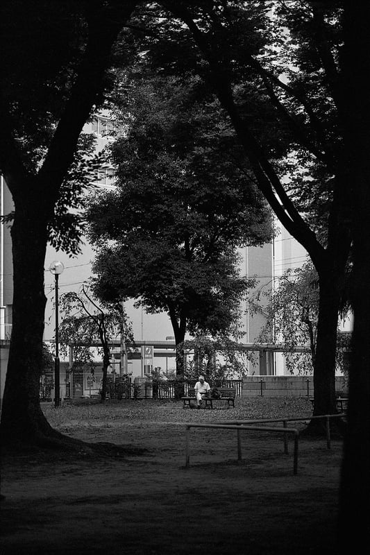 1+20 20C 13:00 30/60/1
EI400
spur silversalt developer