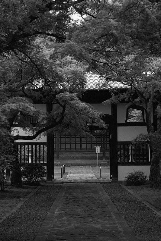 1+20 20C 15:00 30/60/1
EI400
spur silversalt developer