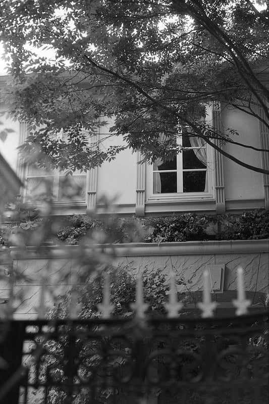 1+20 20C 13:00 30/60/1
EI400
spur silversalt developer