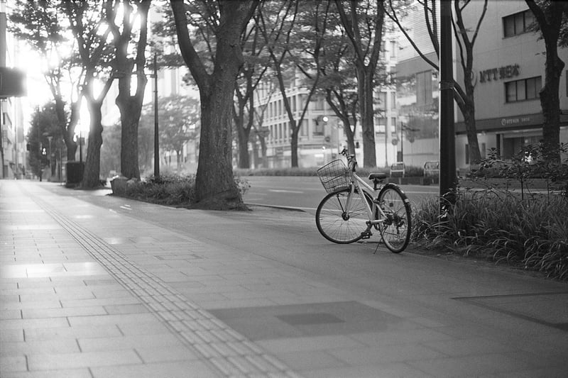 1+30 20C 11:00 30/60/1
EI100
spur silversalt developer