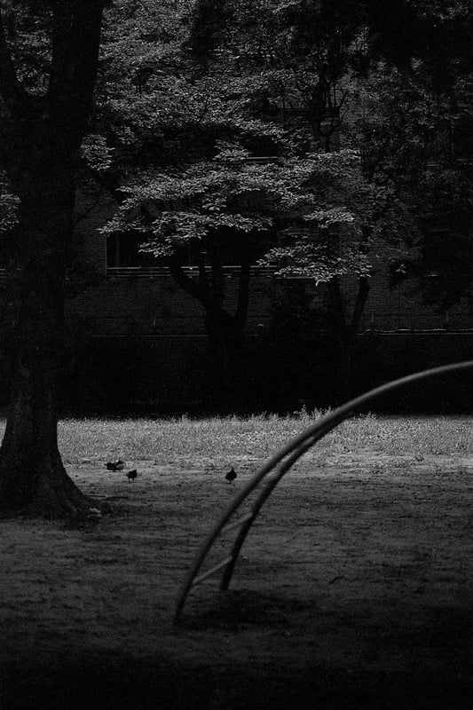 1+20 20C 13:00 30/60/1
EI400
spur silversalt developer