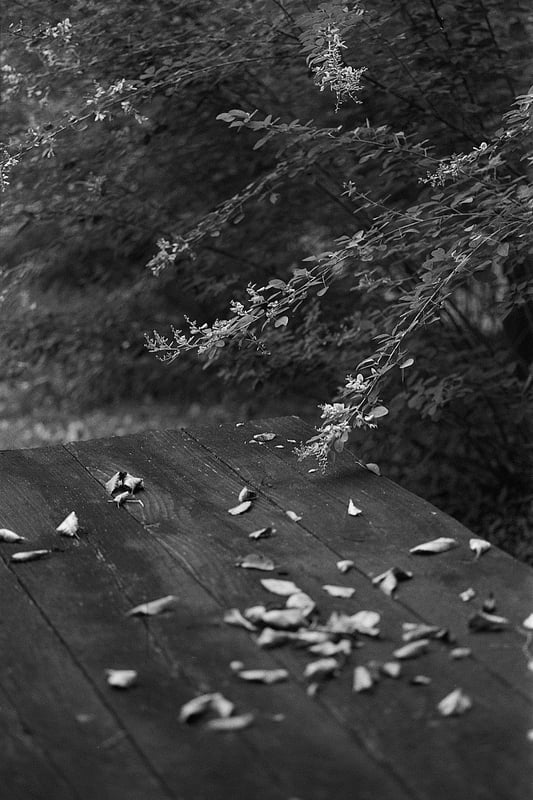 1+20 20C 13:00 30/60/1
EI400
spur silversalt developer