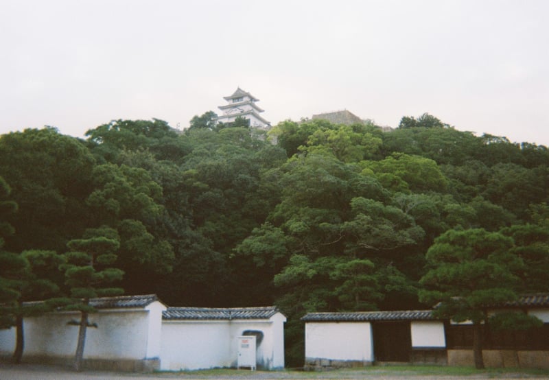 2025年8月16日早朝